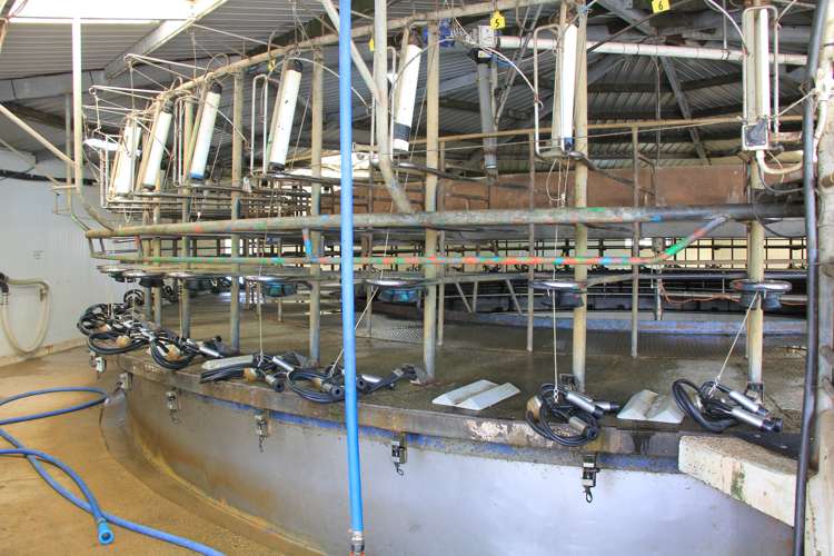 658 Pahia Wakapatu Road Ruahine_5