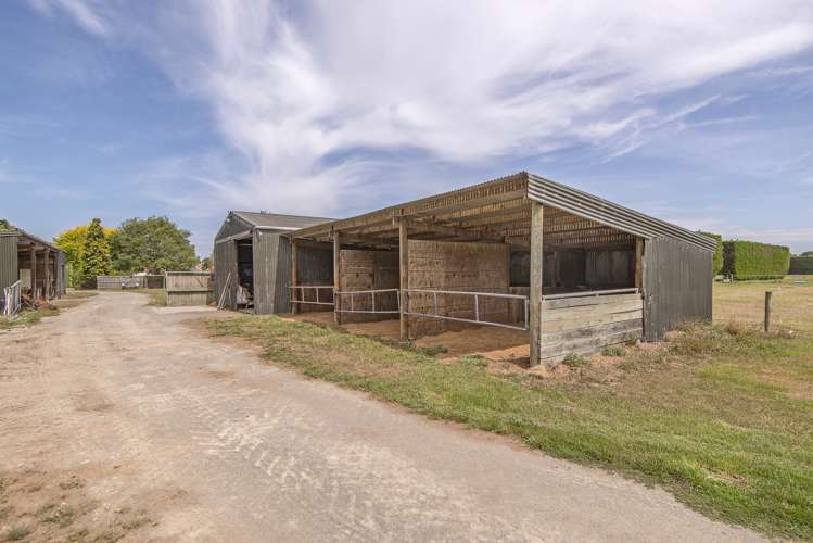 828 Methven Highway Winchmore_17