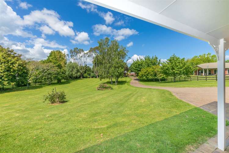 440 Franklin Street Pirongia_27