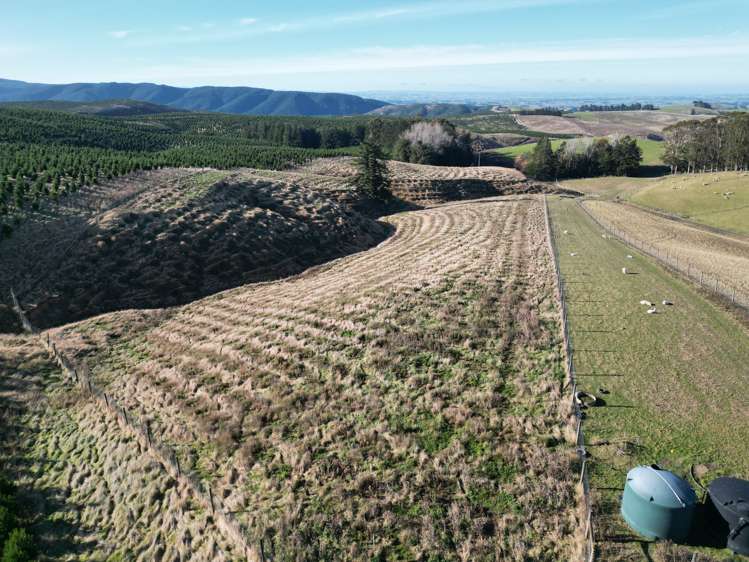 Lot 2/339 Rankleburn Road Rankleburn_15