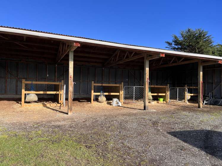 95 Frentz Road Pahia_27