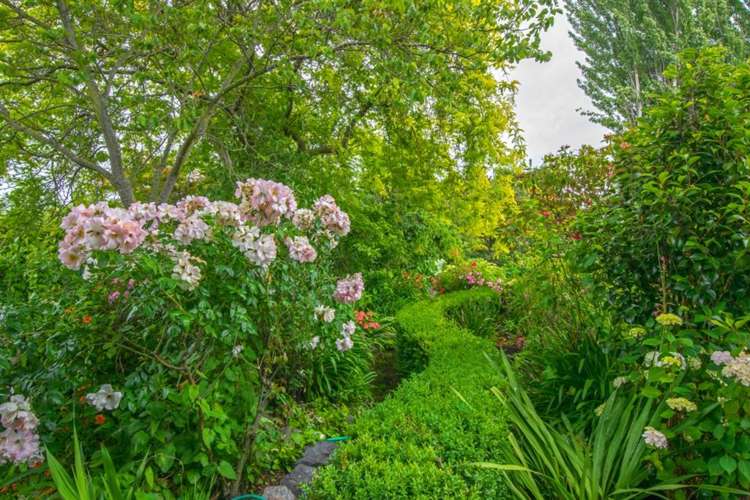 213 Chaytors Road Spring Creek_5