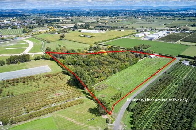 62 Thompson Road Havelock North_3