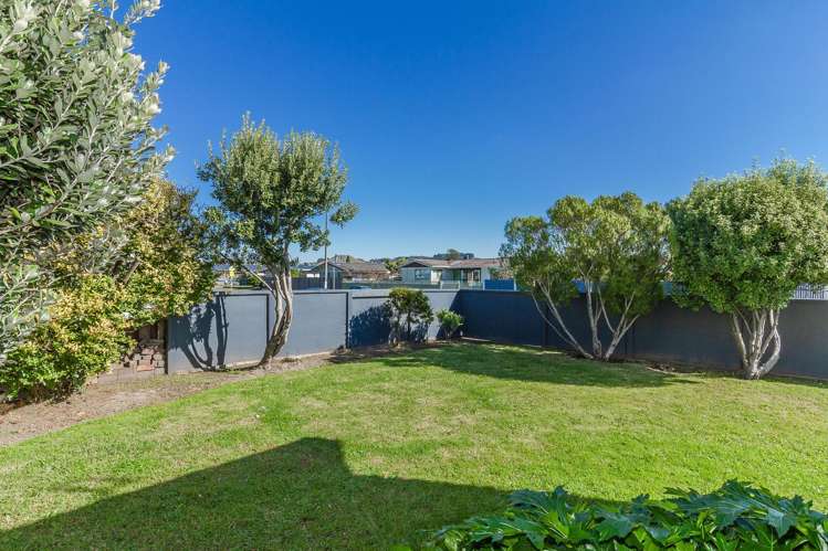 39 York Avenue Tamatea_19