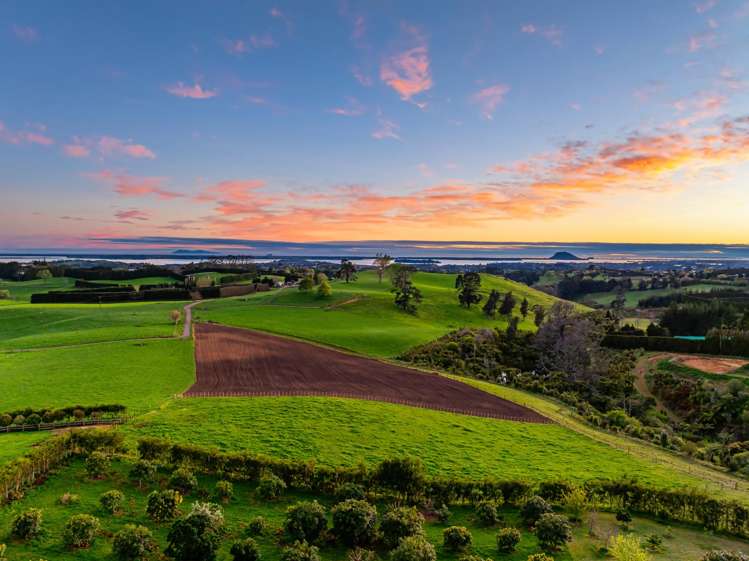 Lot Lot 1 Ross Road Whakamarama_17