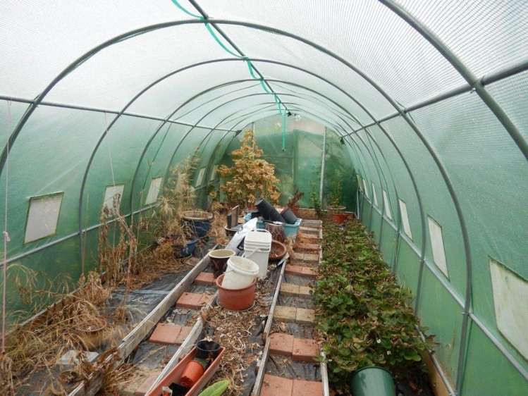 98 Cheviot Street Roxburgh_11