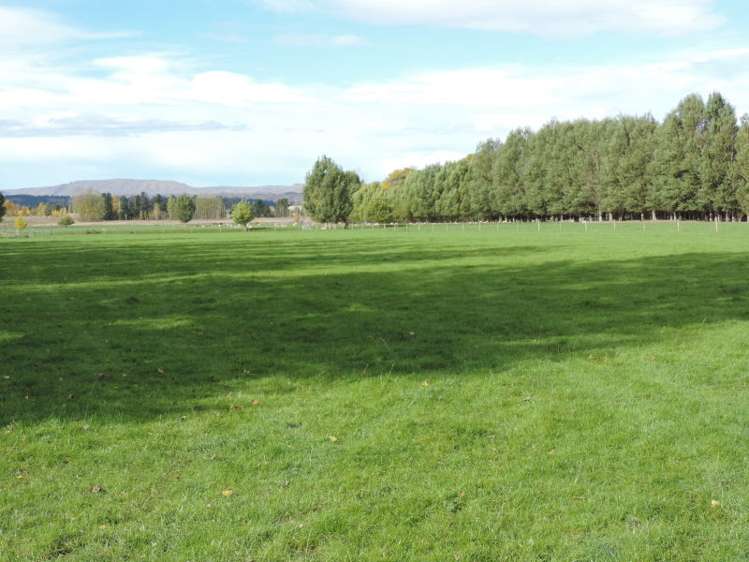 136 Mcintosh Road Alexandra_16