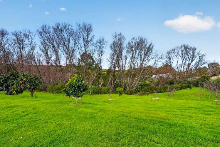 25 Lupis Way Kaiwaka_37