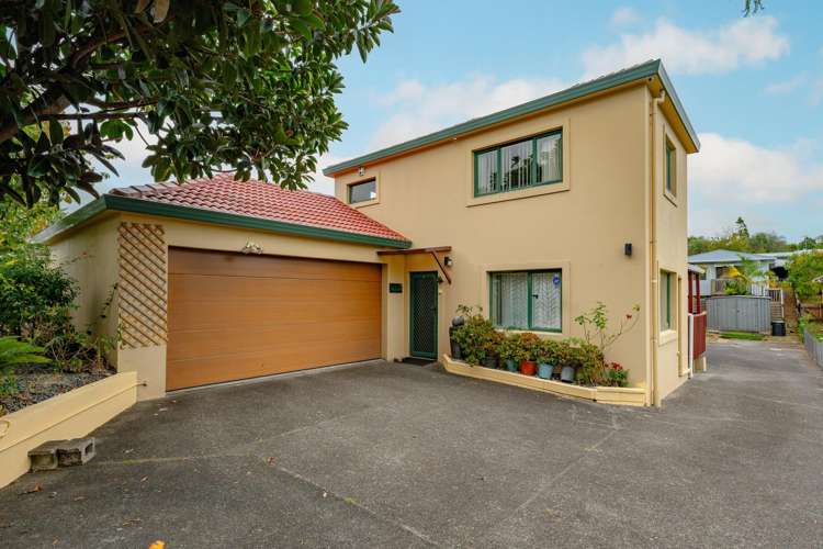 35 & 35A Fruitvale Road_0