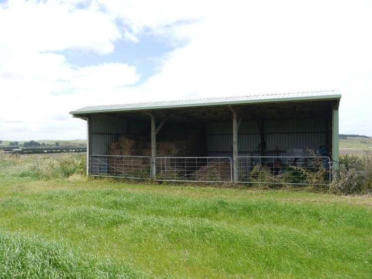 249 Baylys Coast Road Dargaville_10