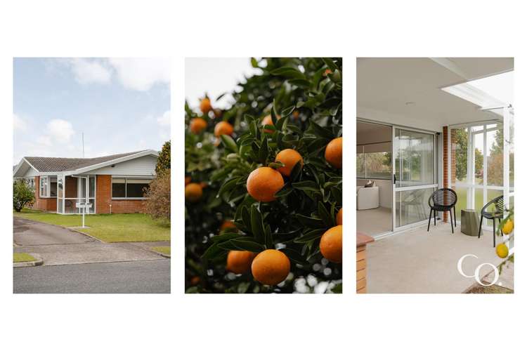 77 Te Hono Street Maungatapu_16