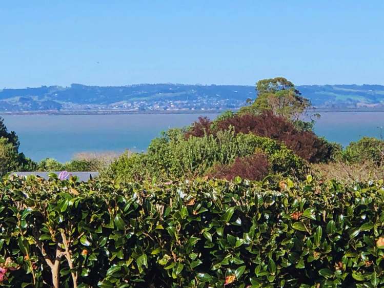 49 Shelly Beach Road Shelly Beach_10