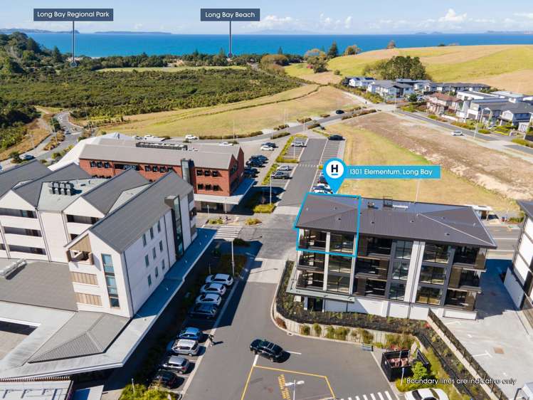 301/84C Te Oneroa Way_0
