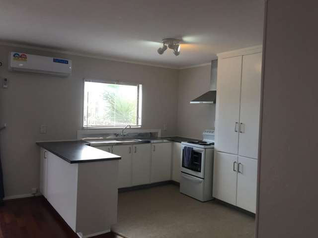 103B Bruce McLaren Road Henderson_3