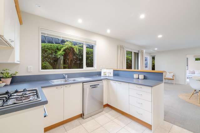 20 Blair Avenue Papanui_2