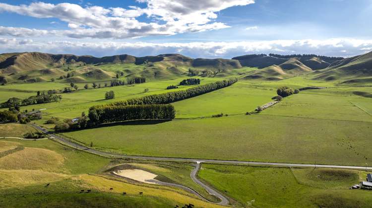 1427 Middle Road Poukawa_9