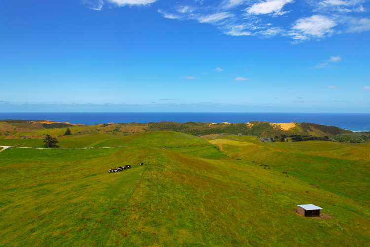 627 Mahuta Road Dargaville Surrounds_14