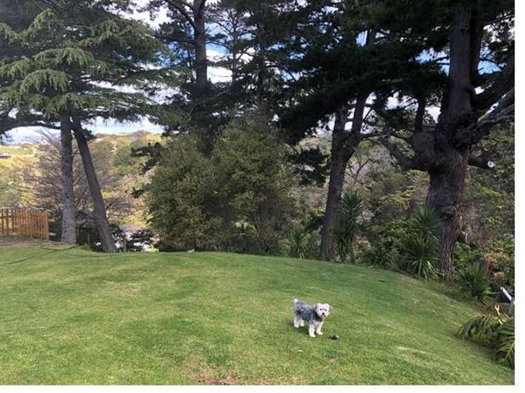 1143 Whangaparaoa Road Tindalls Beach_18