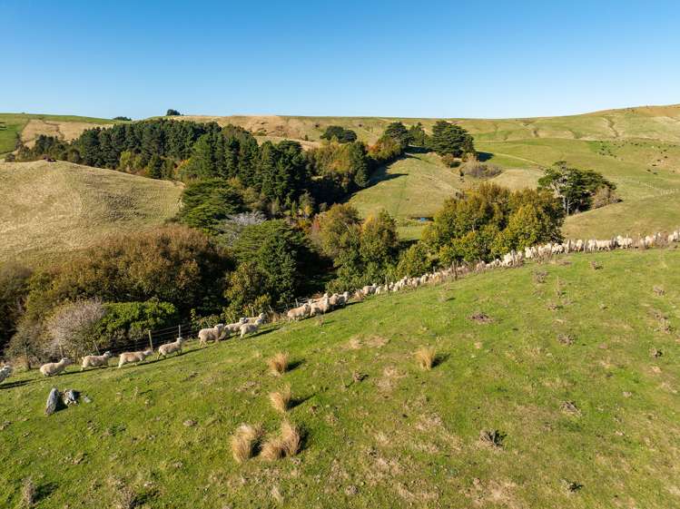 148 Mangatainoka Valley Road Eketahuna_34