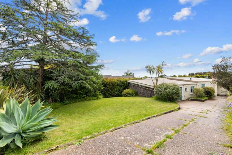 5 Glen Atkinson Street Saint Heliers_6