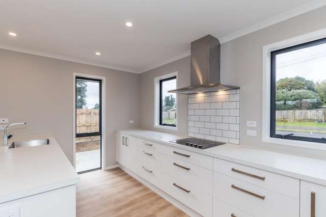 93 Fairfield Road Levin_1