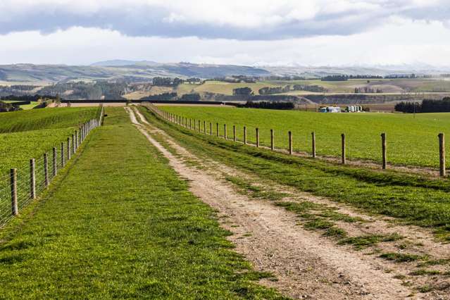 203 Robinson Road Cave_4