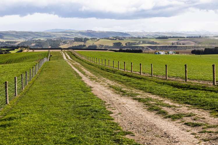 203 Robinson Road Cave_4