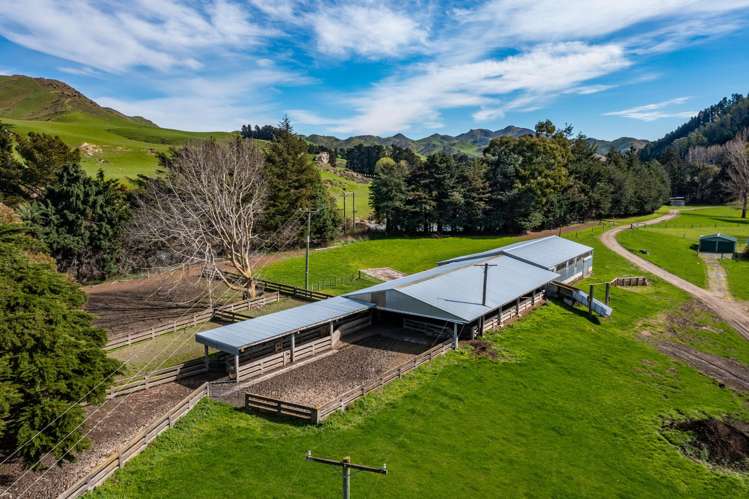 773 Cat Hill Road Cheviot_5