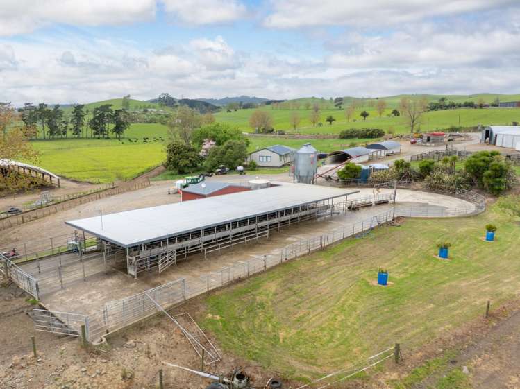 435 and 452 Tainui Road Morrinsville_3