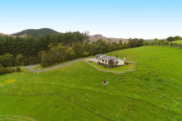 179 Ferndale Road Maramarua Forest_10