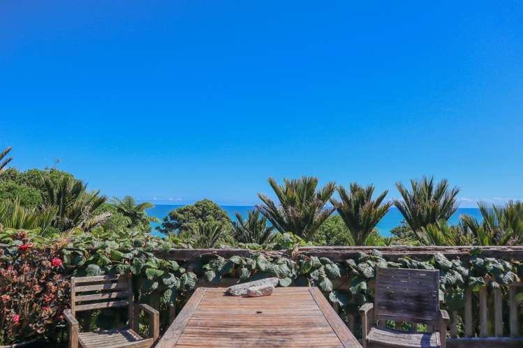 4629 State Highway 6 Te Miko_5