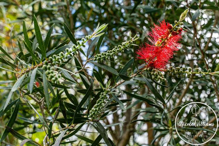 5 Regent Street Whakapirau_31