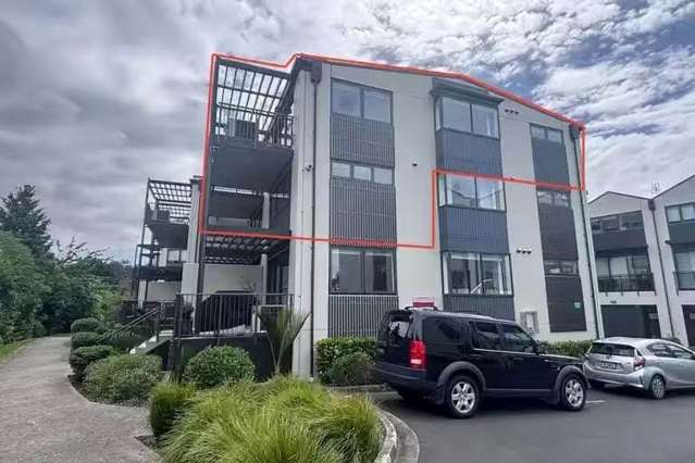 Newly Reno Penthouse Apartment in Albany