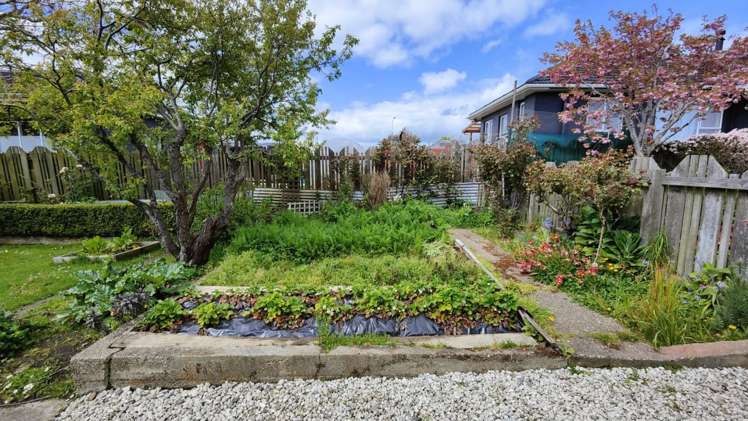 40 O'Hara Street Appleby_22