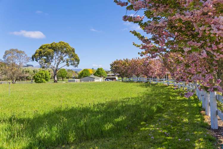 45 Bryant Road Brightwater_22