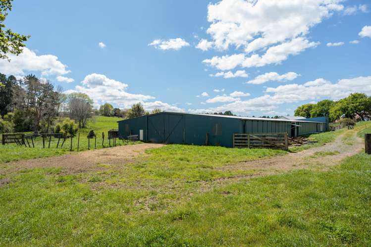 243C Matai Road Matamata_26