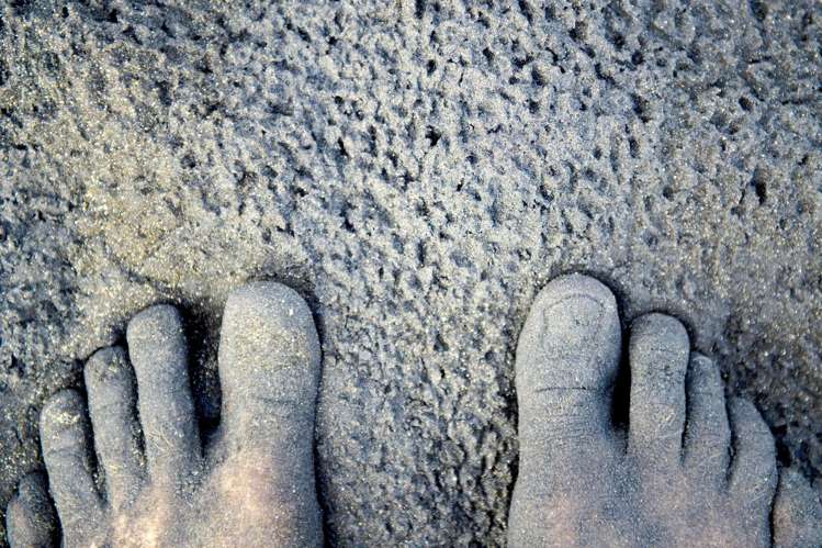 54d Buffalo Beach Road Whitianga_37