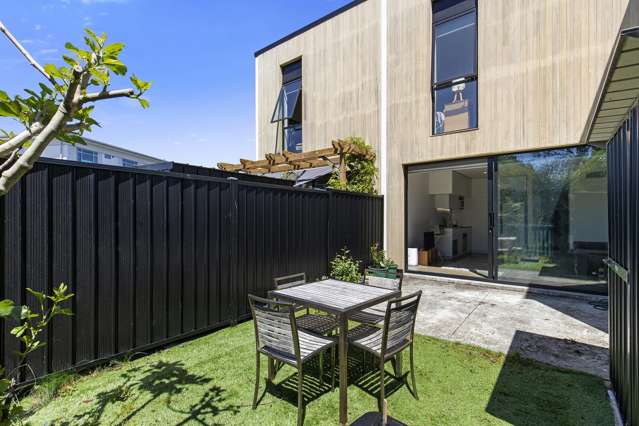 47 Te Ara O Paetutu Petone_1