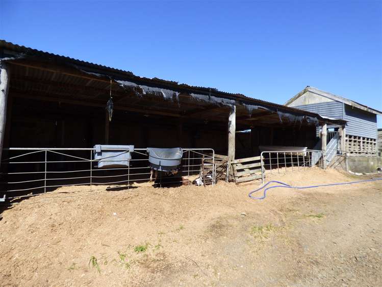 336 Grove Road Te Pahu_29