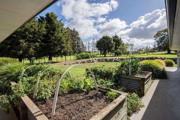 587c Crane Road Kauri_28