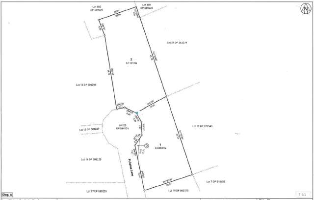 4 Pukatea Lane Grandview Heights_2
