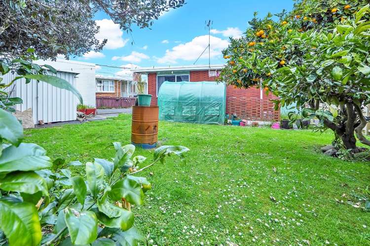 239 Ohaupo Road Glenview_3