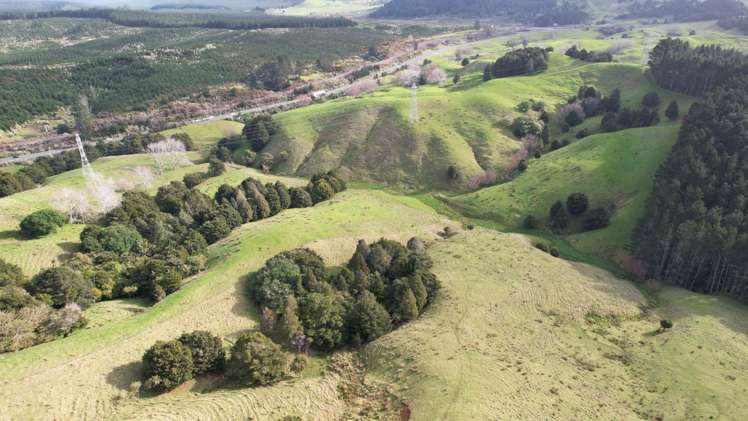 78 Otioro Road Topuni_8