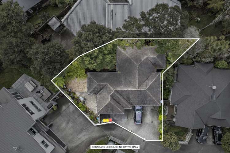 40H Konini Road Titirangi_14