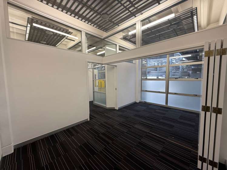 72 Dominion Road Mt Eden_6