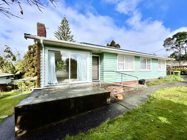 18a Tomo Street New Lynn_1