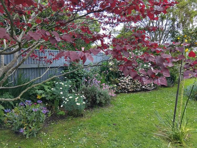 21 Signal Street Marton_29