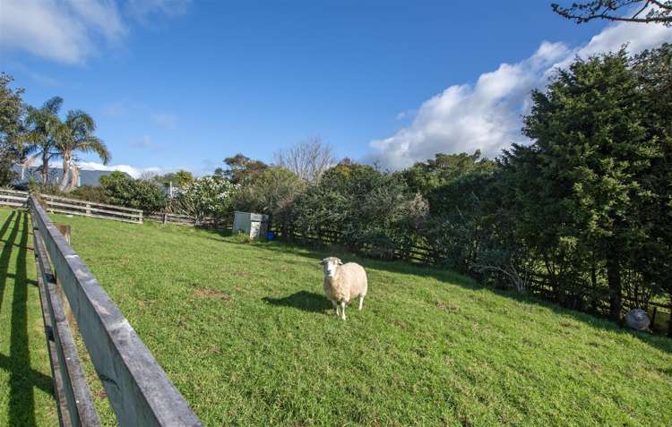 9 Nihotetea Lane Maunu_26