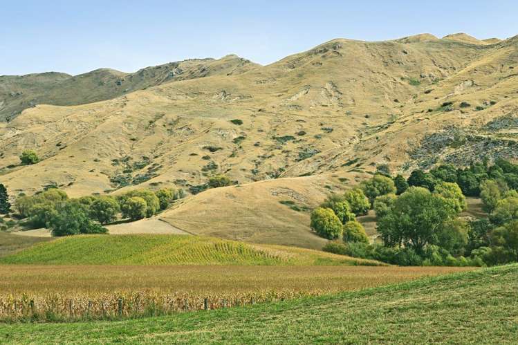 47 Harper Road Waimarama_19