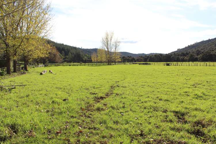 Lot 1 Sawyer Road Mangonui_2